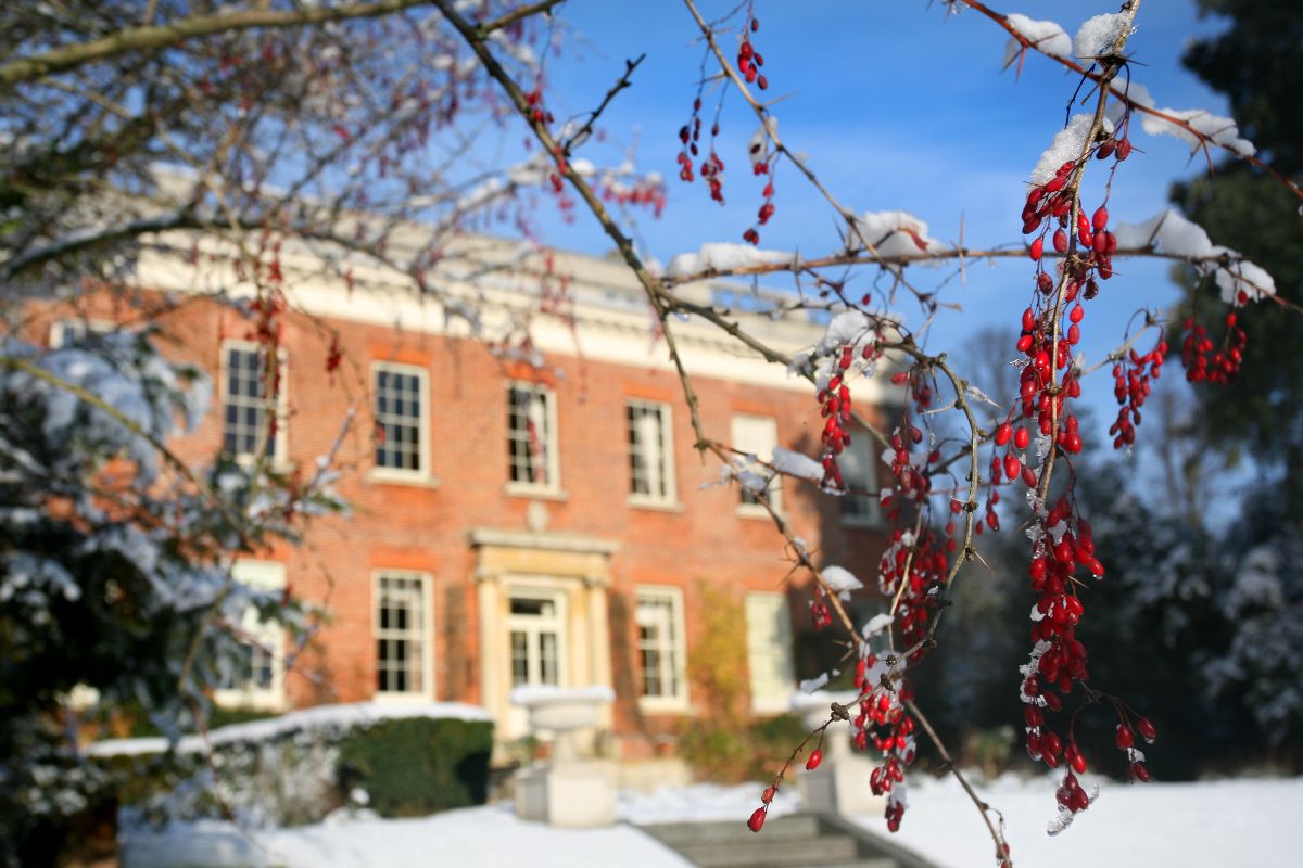 Gallery Item 16 for Hedingham Castle