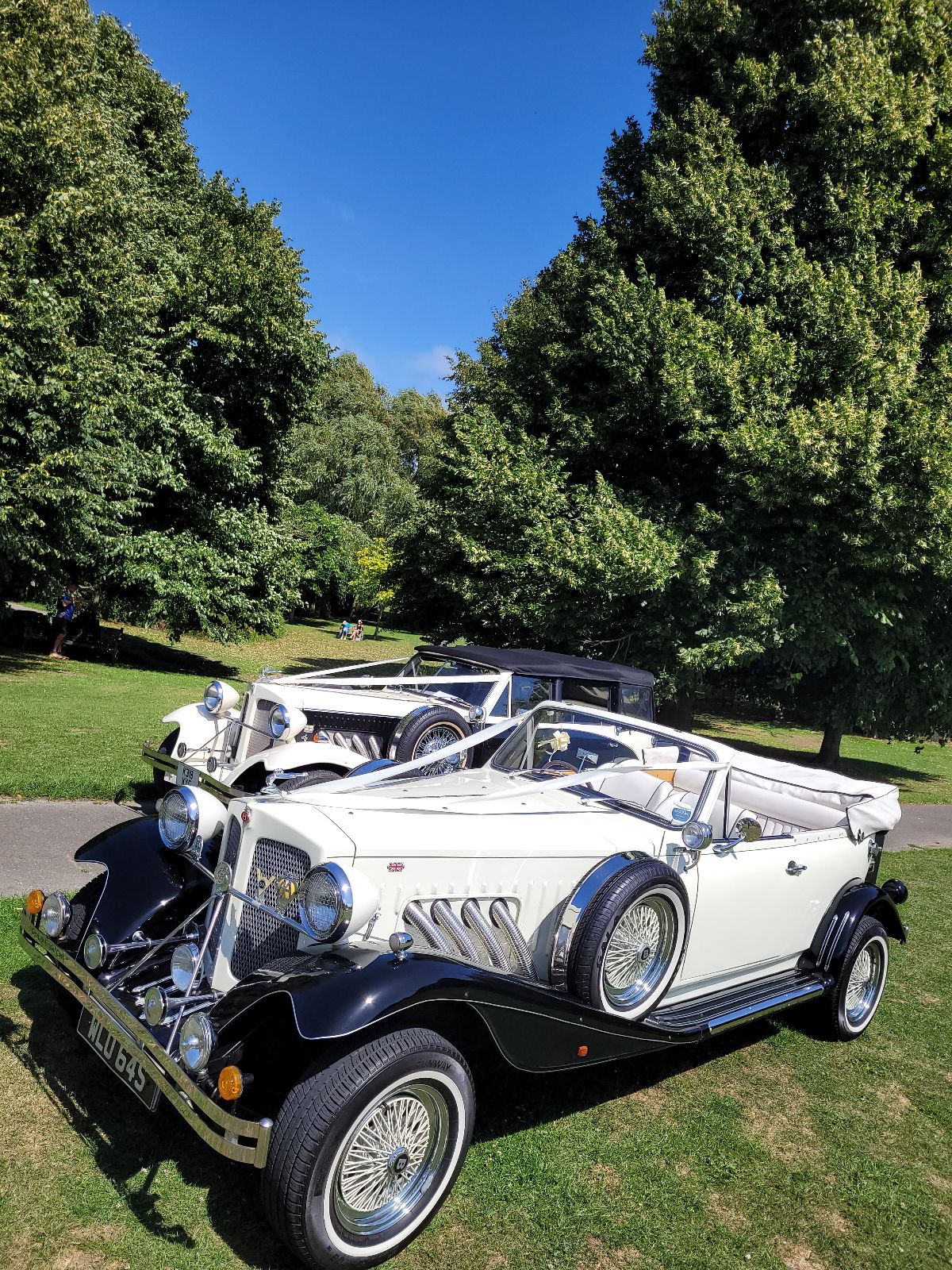 Grange Bridal cars-Image-55