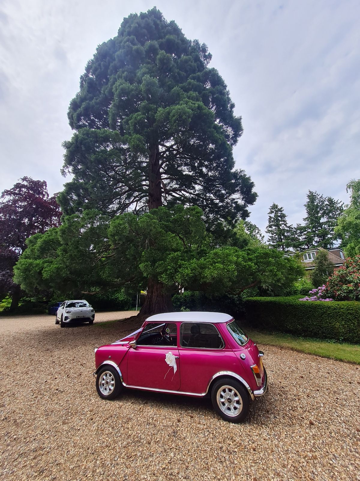 Grange Bridal cars-Image-69