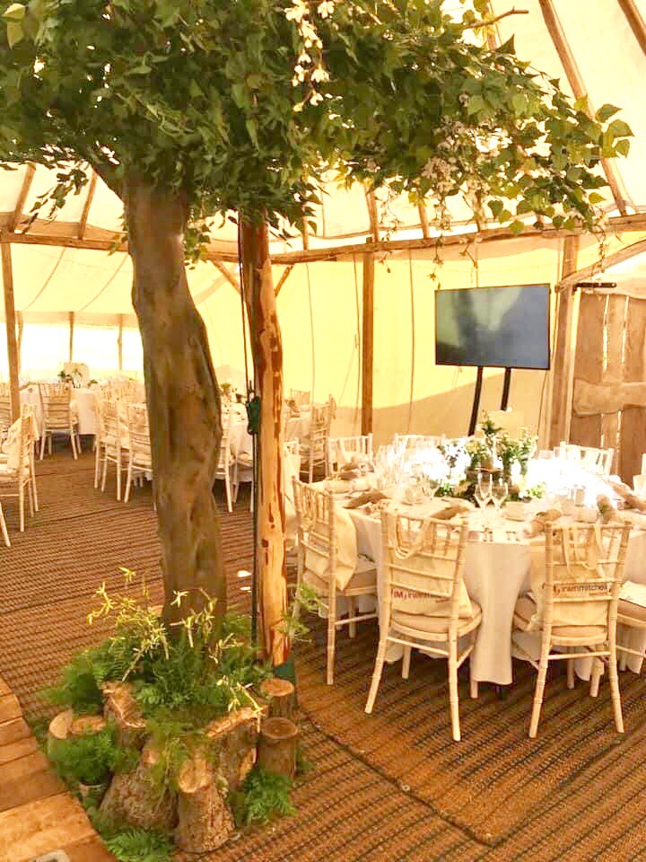 Trees by Design Ltd-Image-1