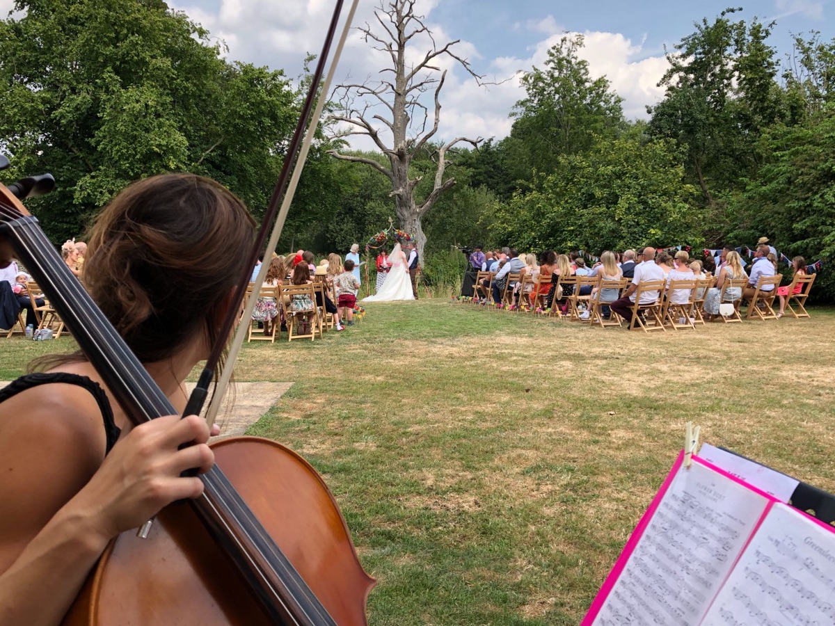 Arioso String Quartet-Image-8