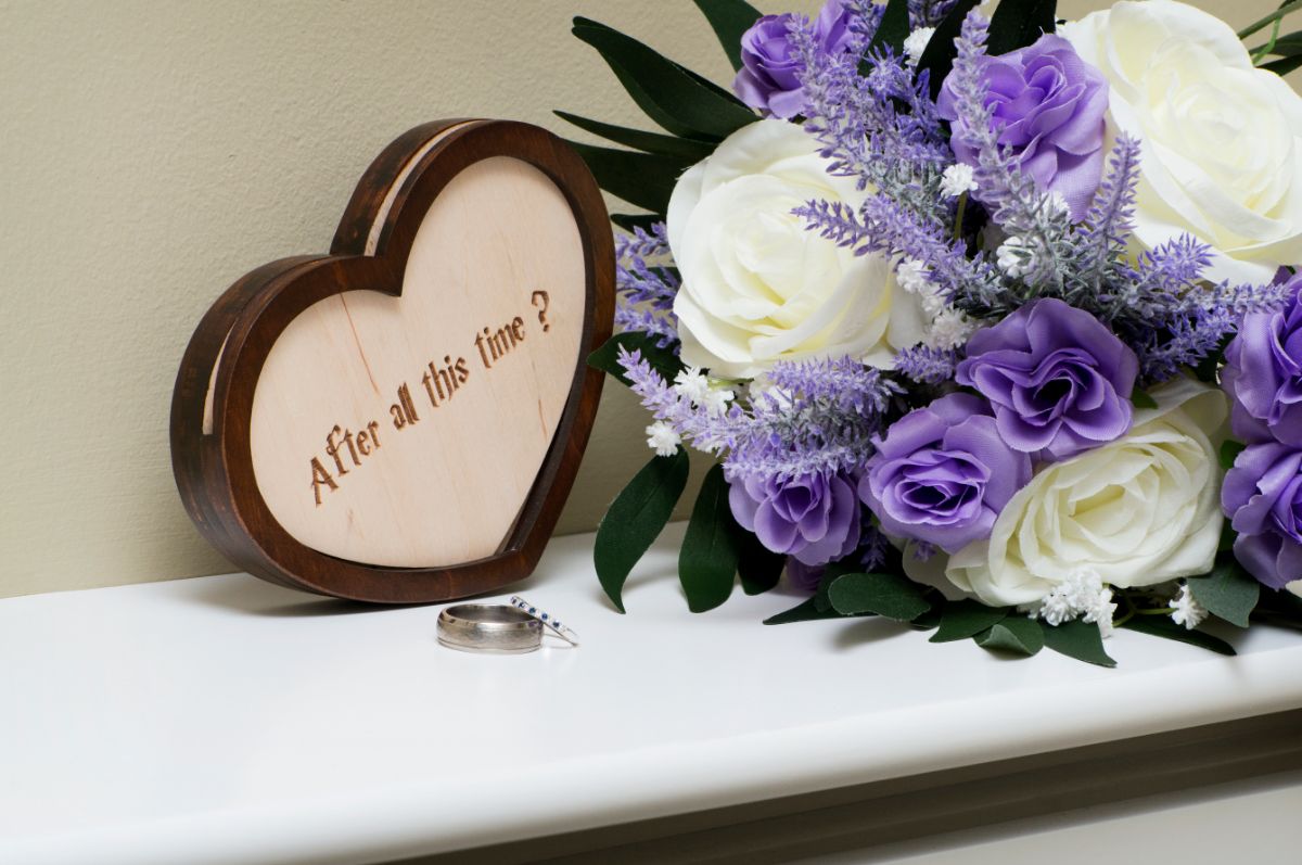 Diane Frazer Photography-Image-34