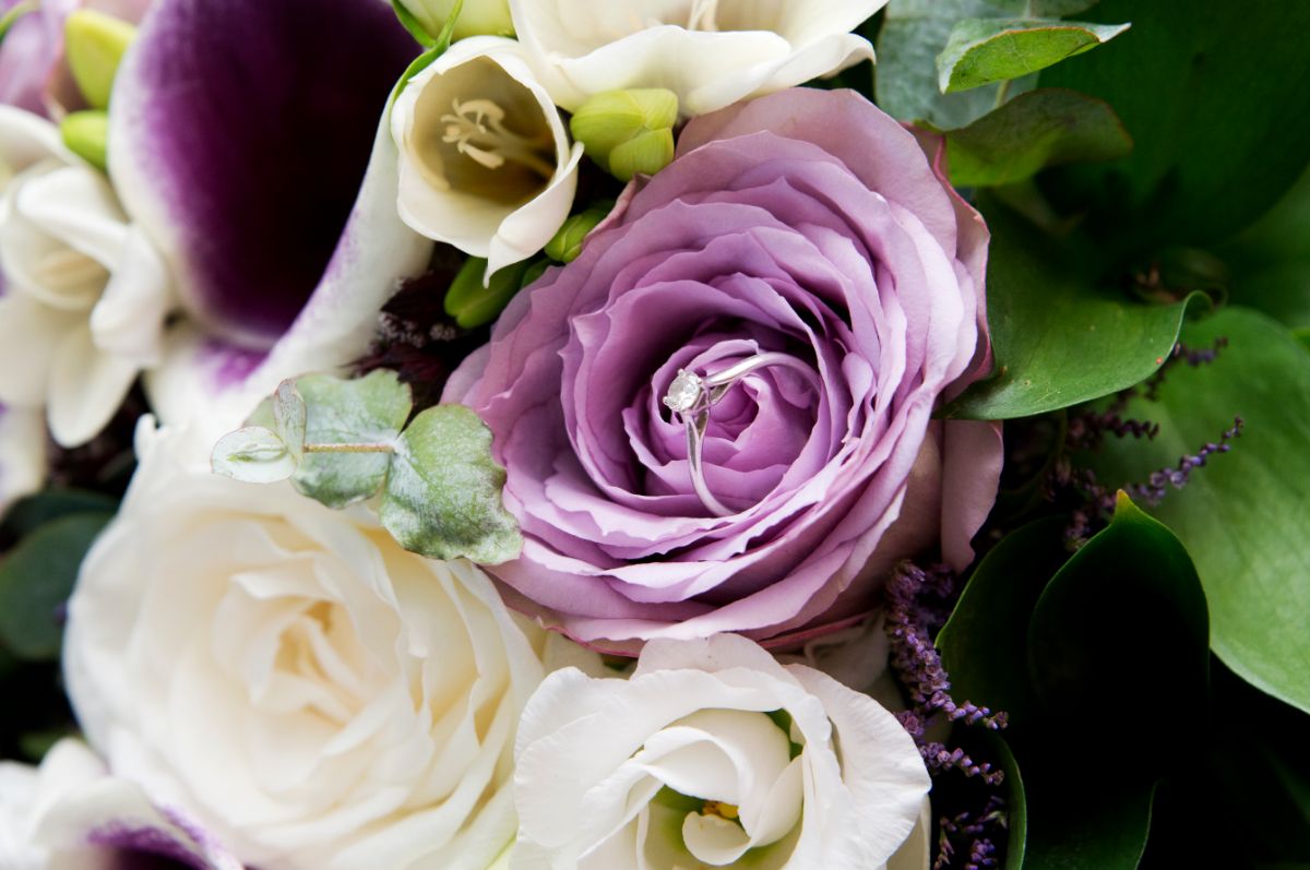 Diane Frazer Photography-Image-102