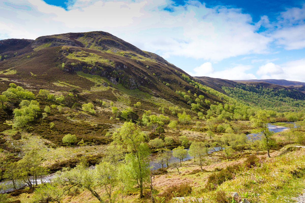 Gallery Item 14 for Alladale Wilderness Reserve