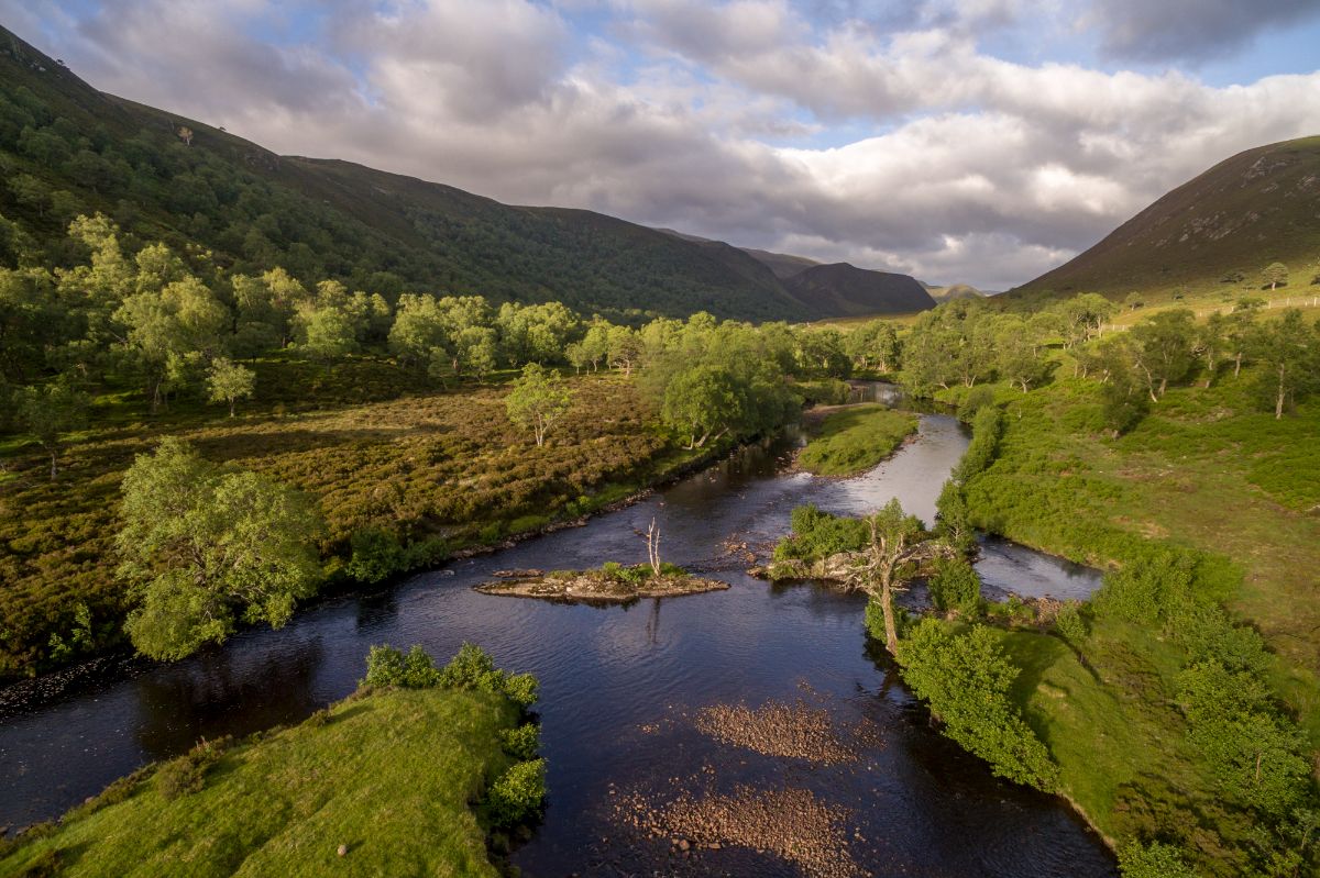 Gallery Item 62 for Alladale Wilderness Reserve