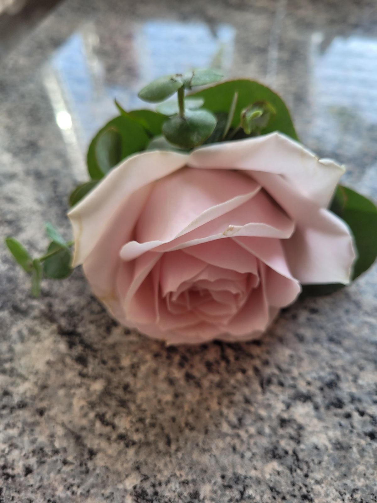 FSG Floral Design-Image-59