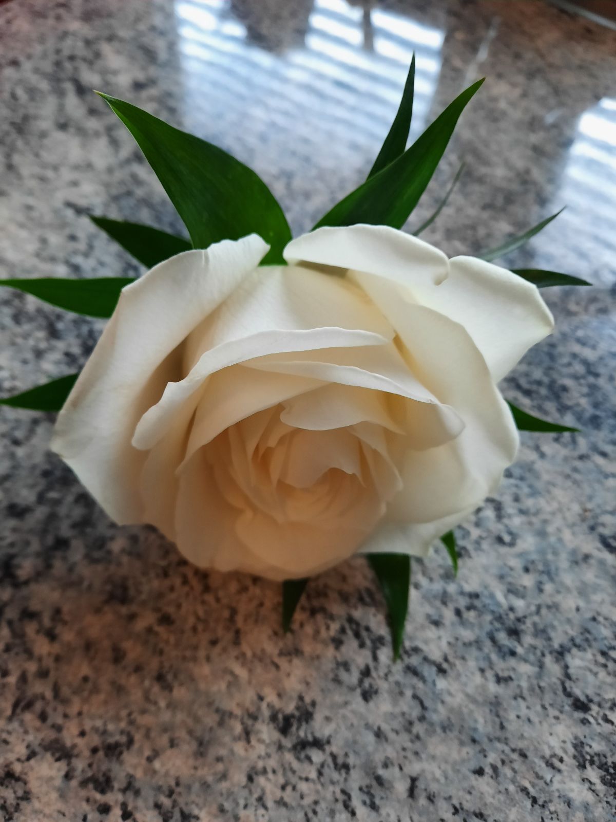 FSG Floral Design-Image-90