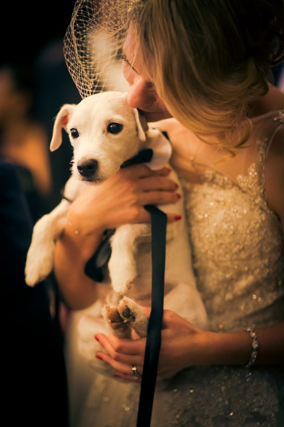 PAUL READ PHOTOGRAPHY-Image-45