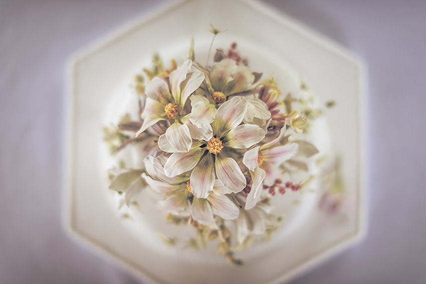 Greenhill Photography-Image-1
