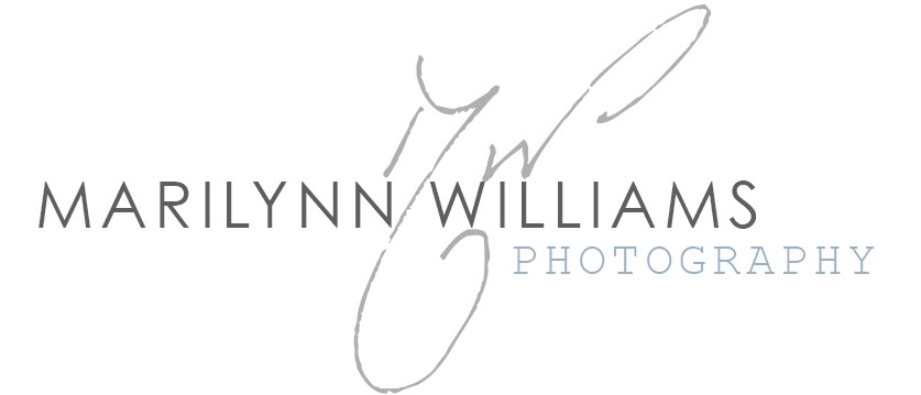 Marilynn Williams Photography-Image-1