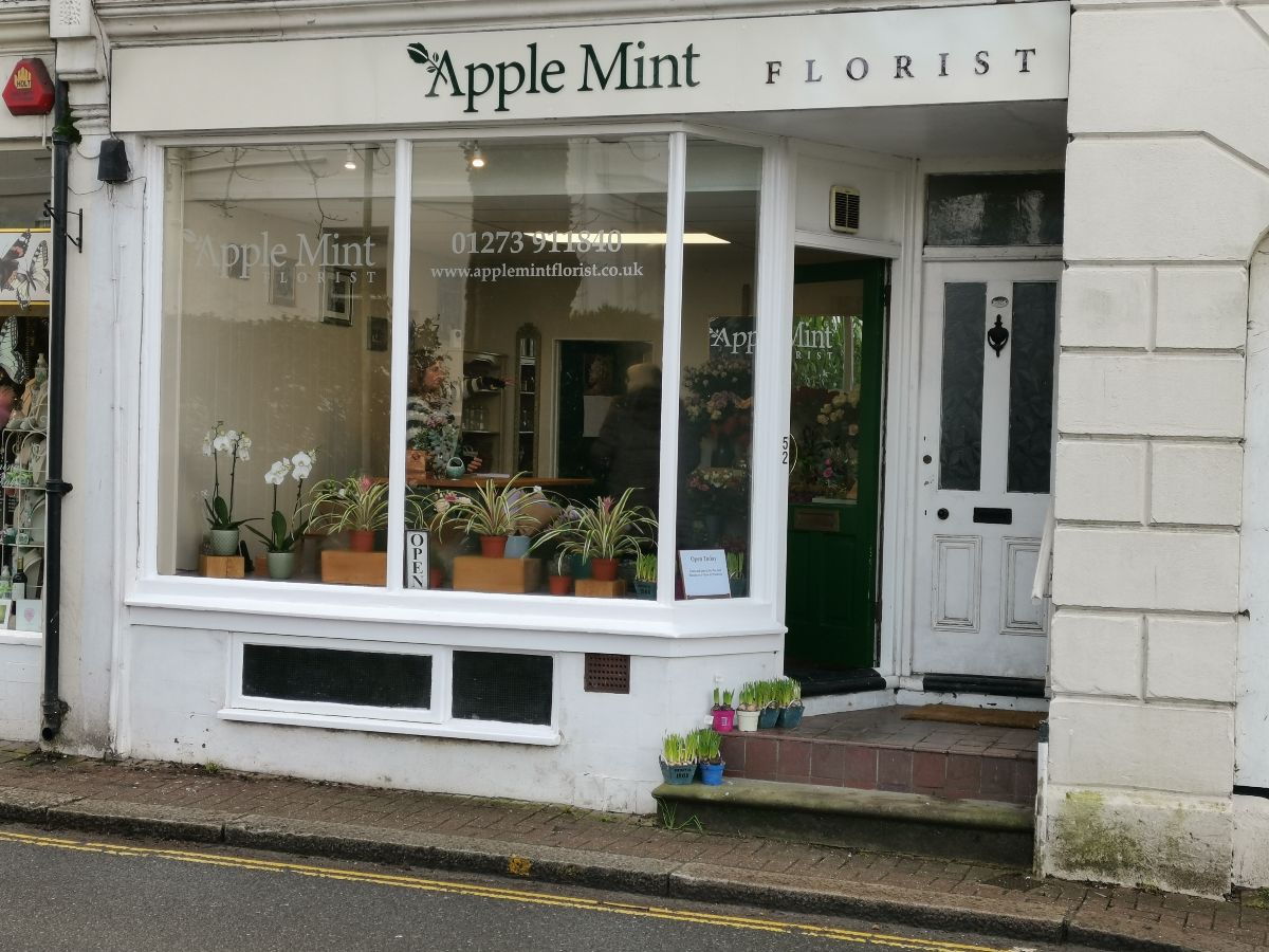 Apple Mint Florist-Image-1