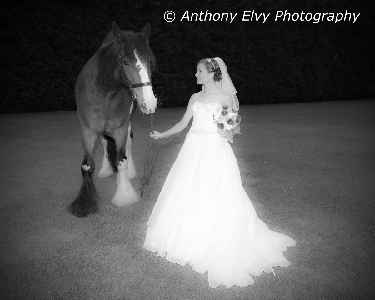 Anthony Elvy Photography-Image-52
