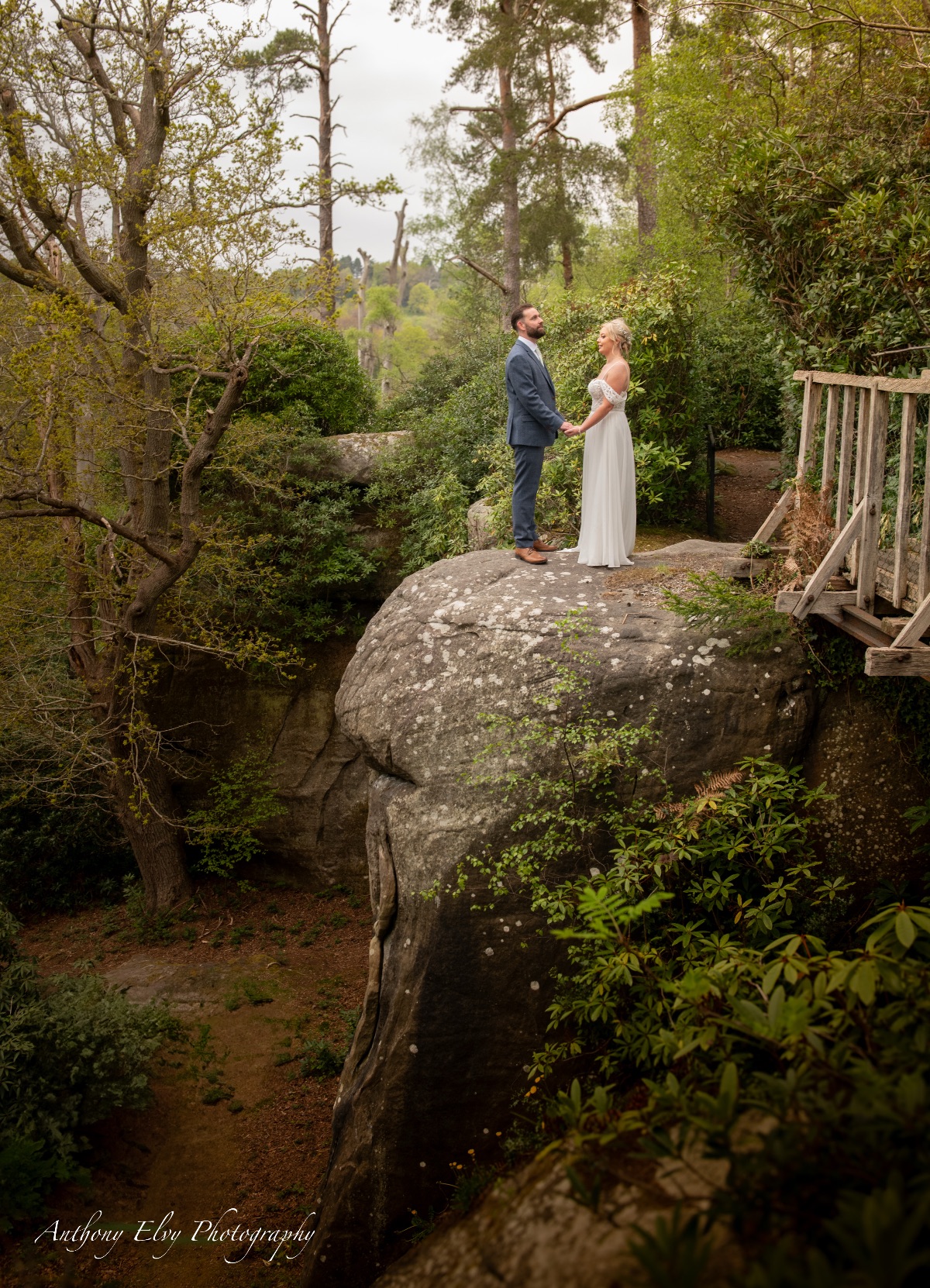 Anthony Elvy Photography-Image-2