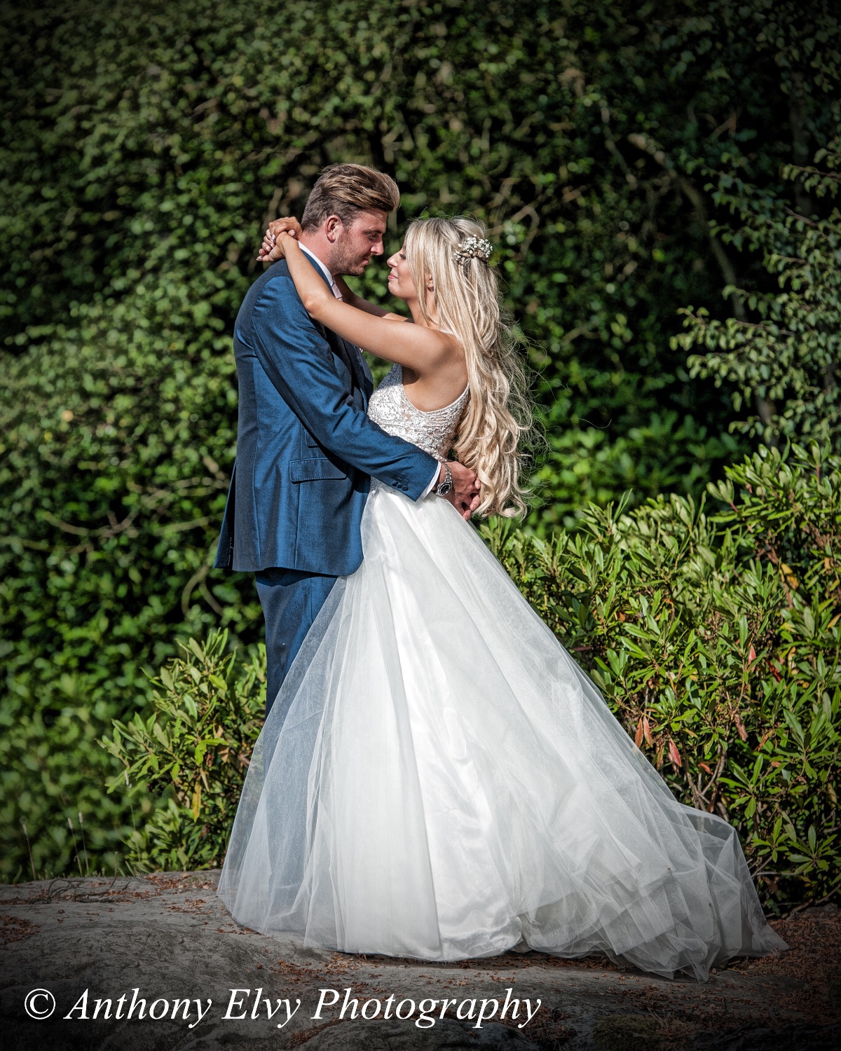 Anthony Elvy Photography-Image-63