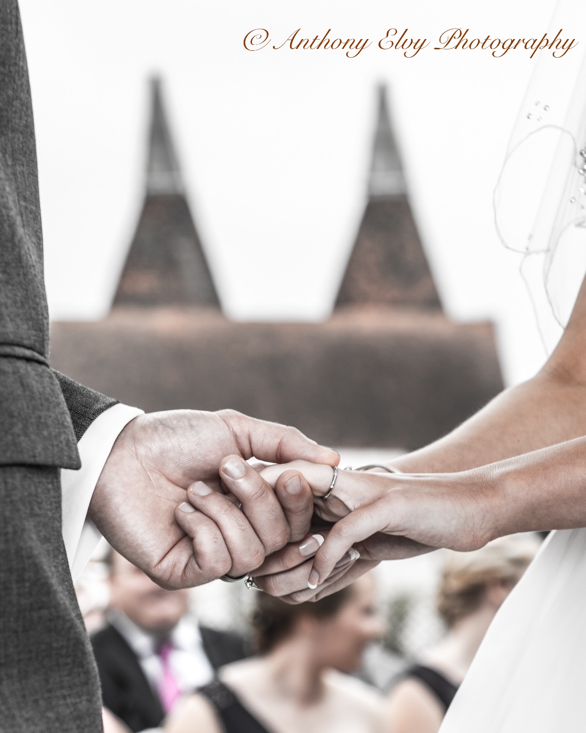 Anthony Elvy Photography-Image-51