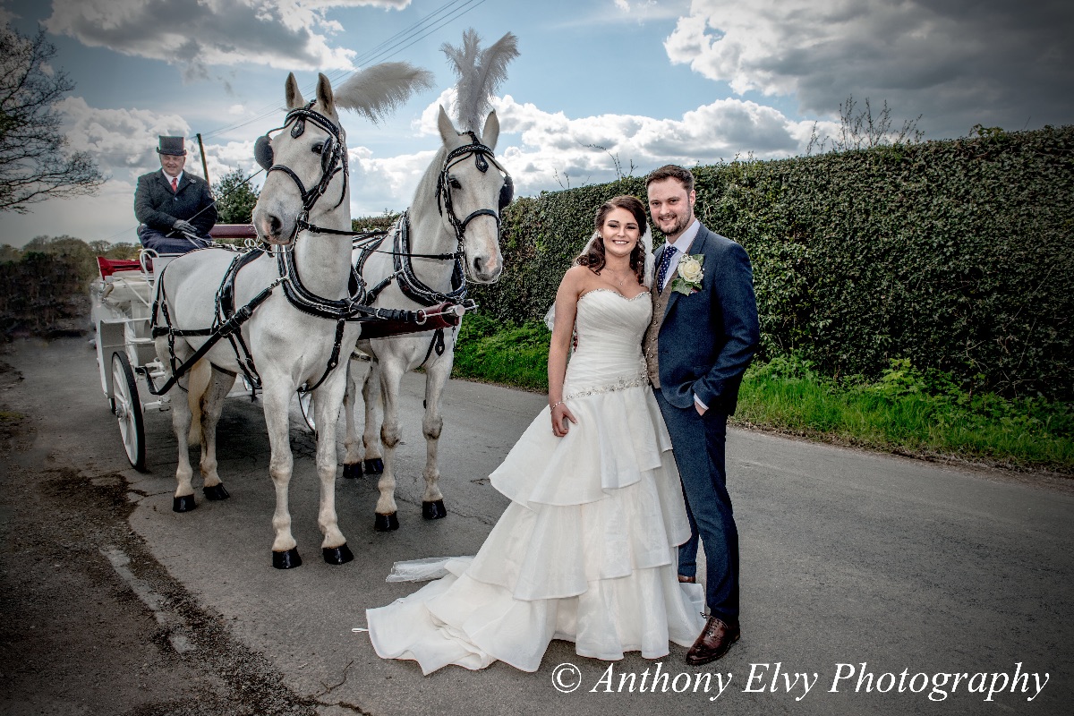 Anthony Elvy Photography-Image-56
