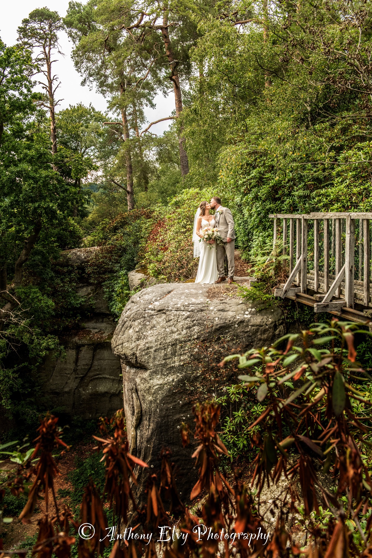 Anthony Elvy Photography-Image-12