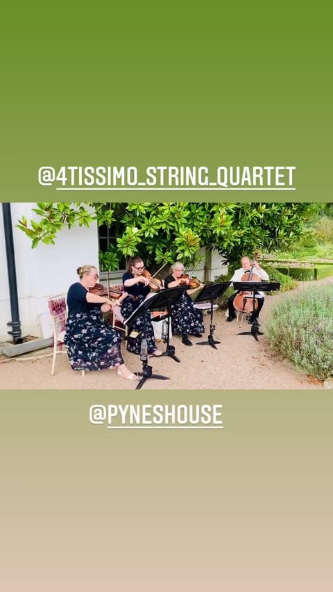 4tissimo String Quartet-Image-12