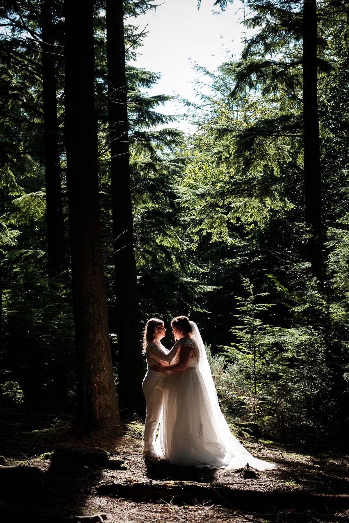 Adam van Dorp Photography-Image-45