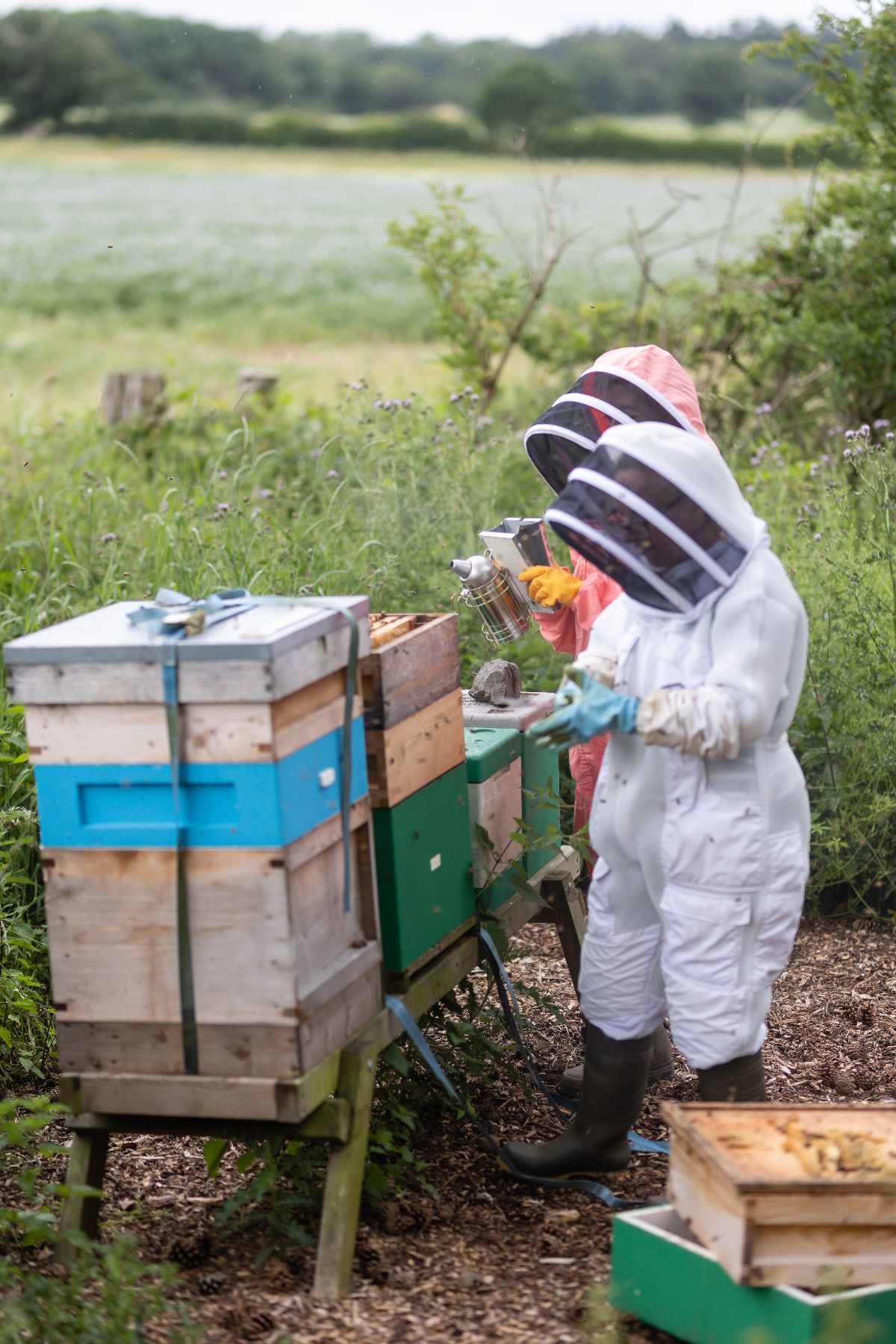 Gallery Item 29 for Albrighton Hall Hotel and Spa