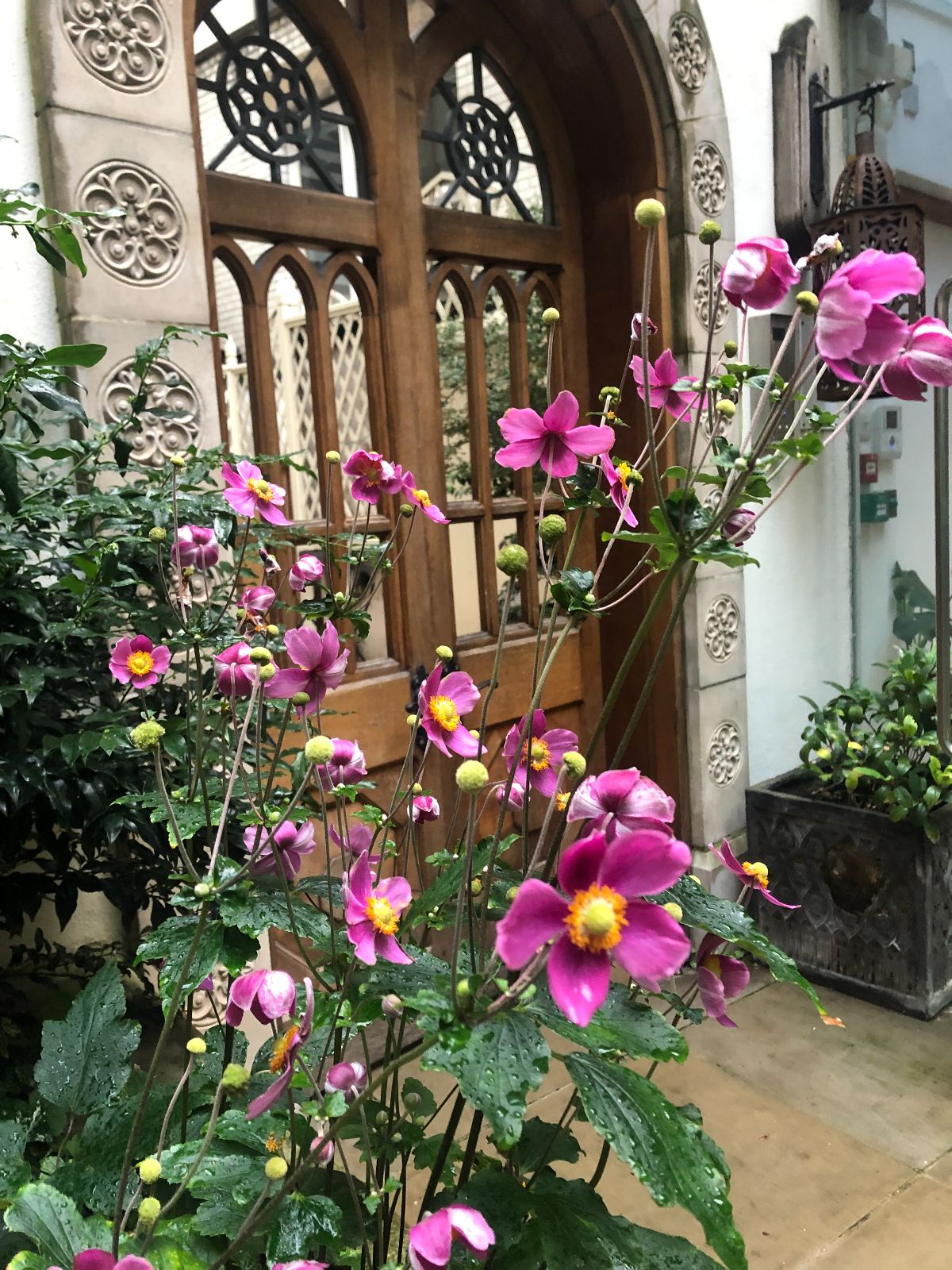 Gallery Item 16 for St Ethelburga's Centre for Reconciliation & Peace