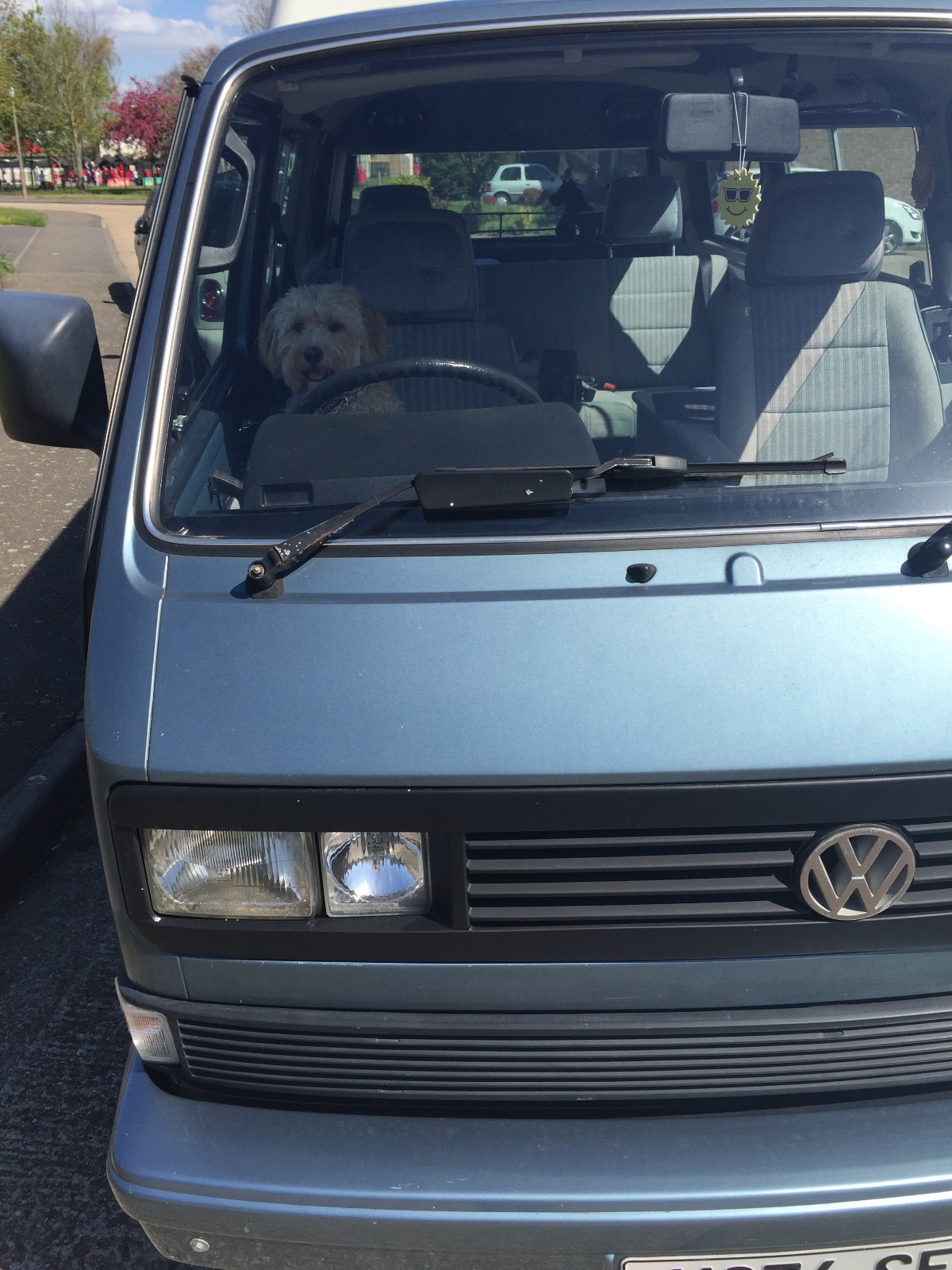 V-DUB Rides-Image-79