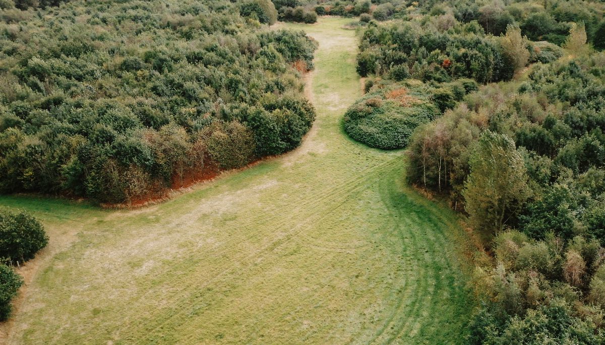 Royle Forest Weddings-Image-2