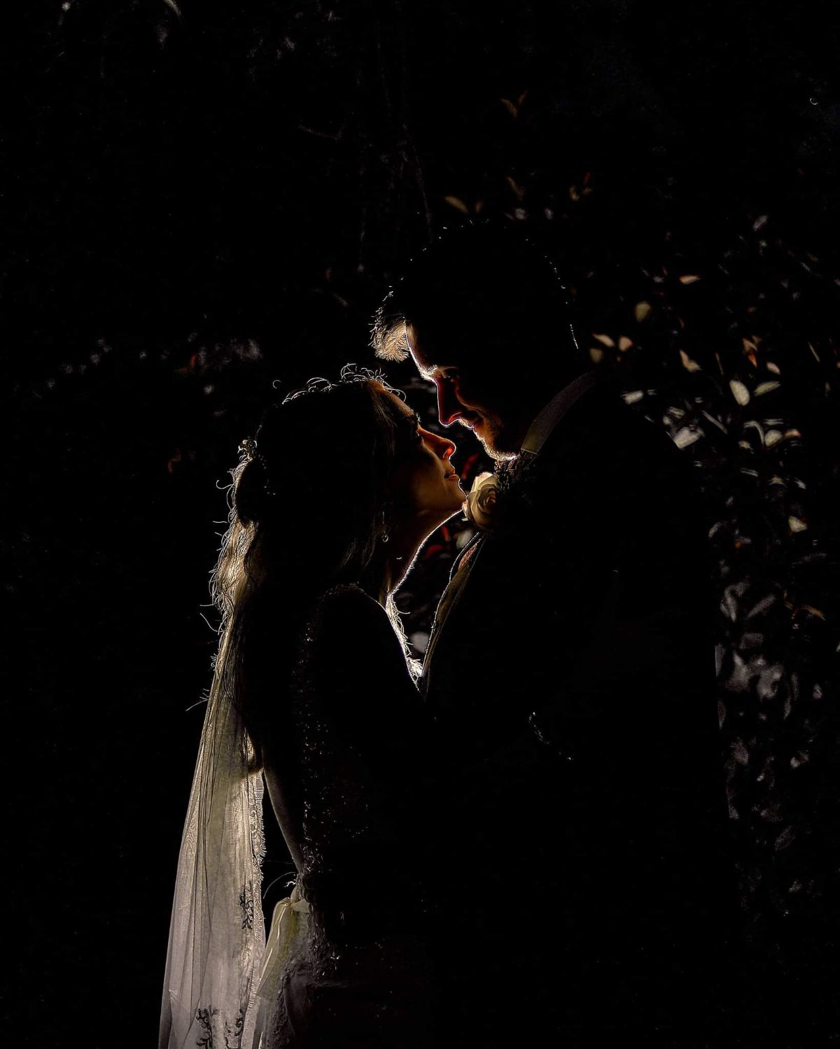 Mark Lee Photography -Image-2