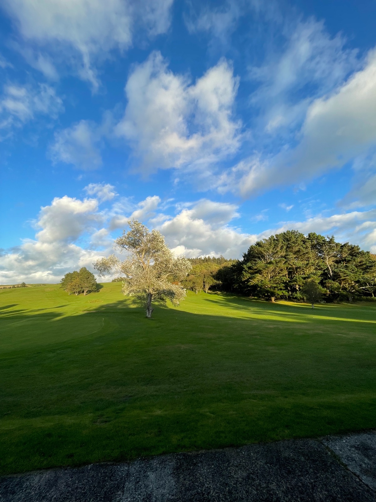 Luff's Cafe at Aberystwyth Golf Club-Image-3