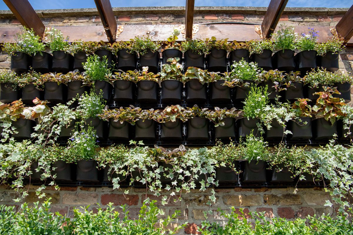 Gallery Item 7 for Nonna Rosa