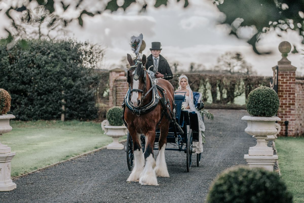 Gallery Item 42 for Burlton Manor