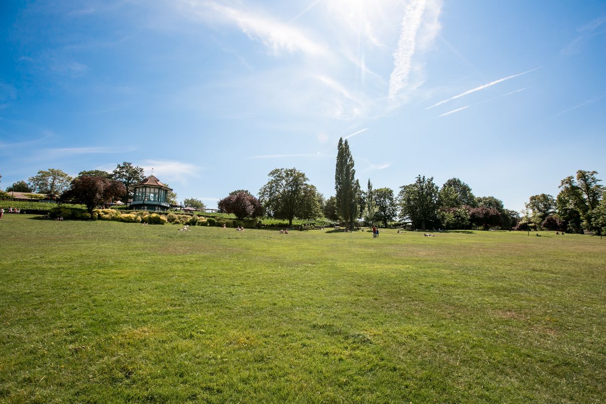 The Horniman Museum-Image-17