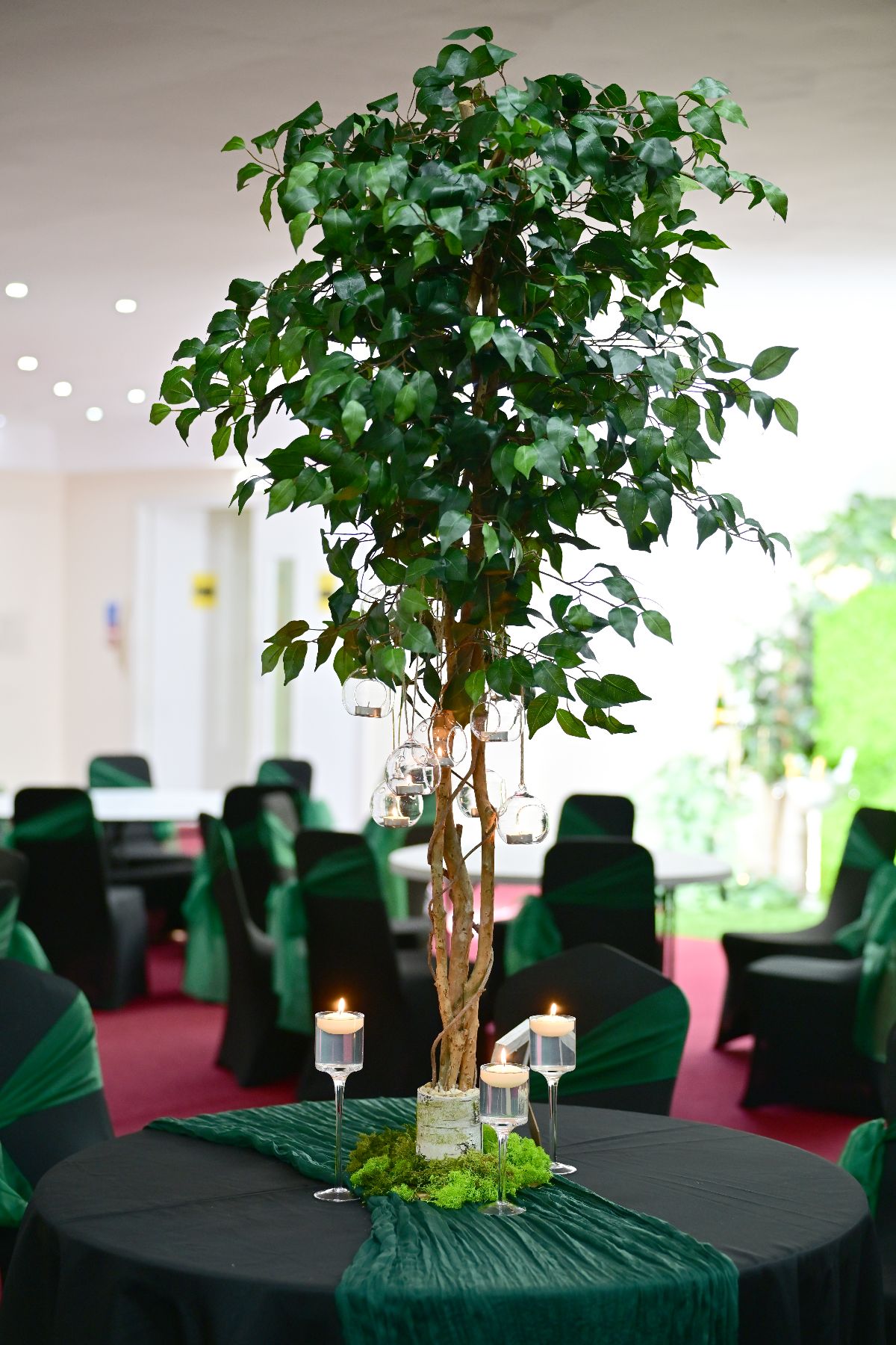 Dream Hire & Deco Ltd-Image-20