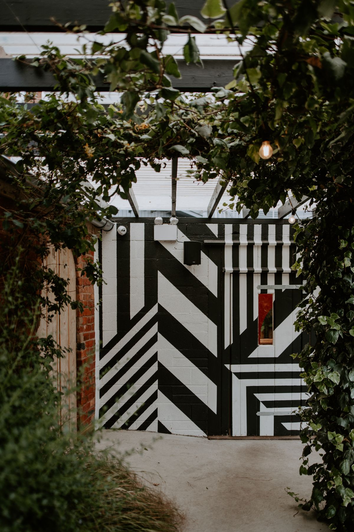 Gallery Item 16 for The Shack Revolution