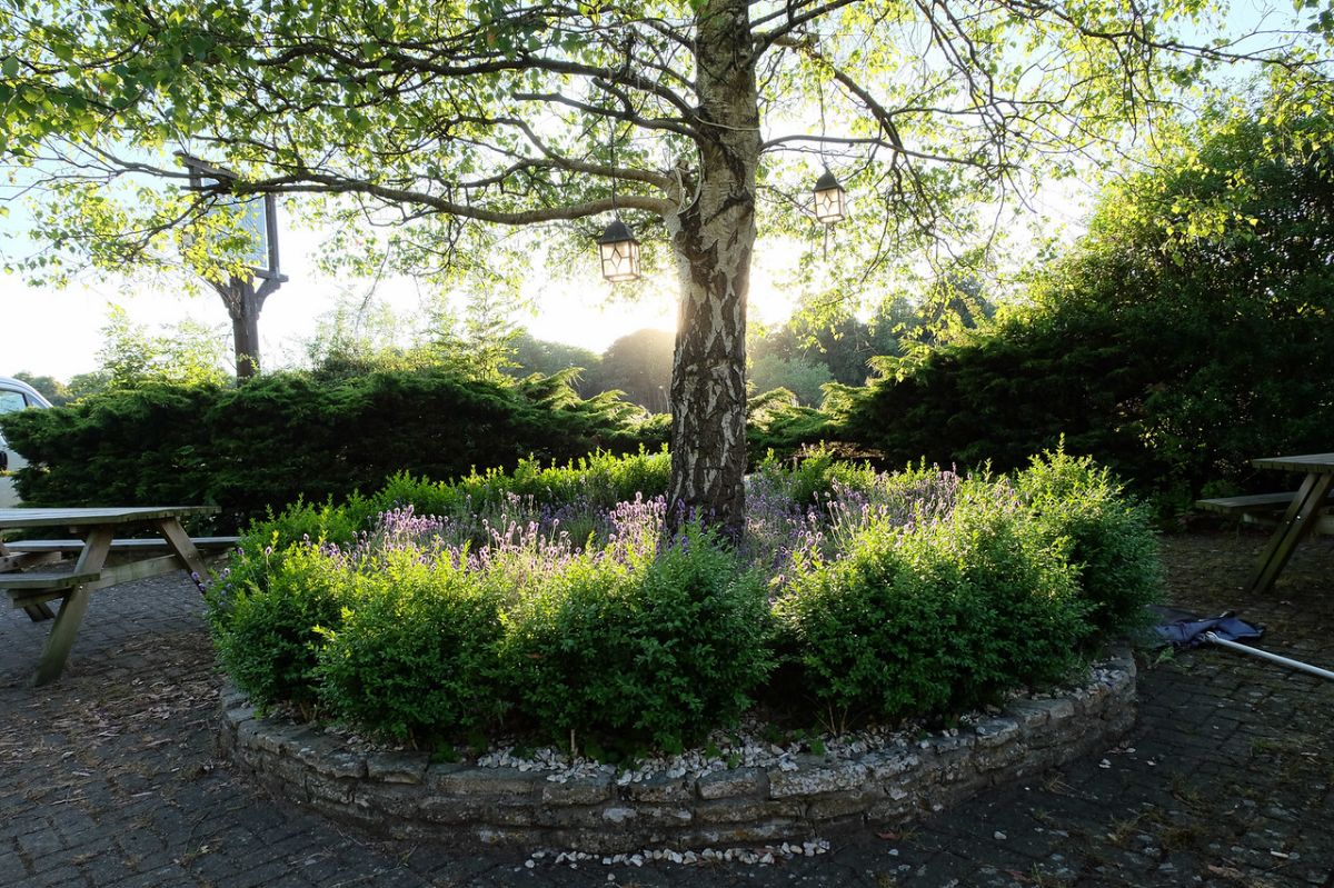 Gallery Item 7 for The Compass Inn