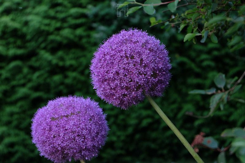 Gallery Item 8 for The Compass Inn