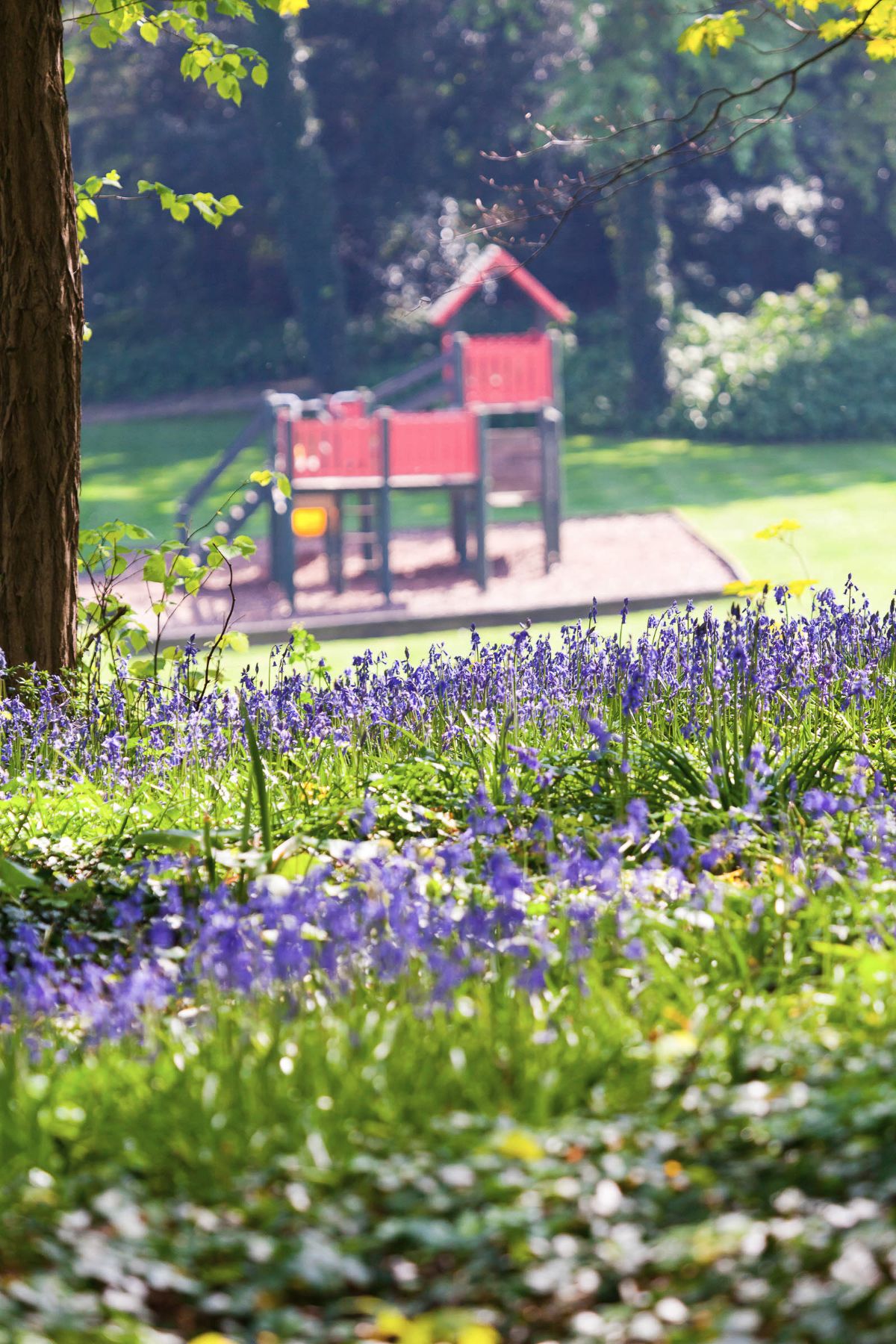 Gallery Item 32 for Langstone Cliff Hotel