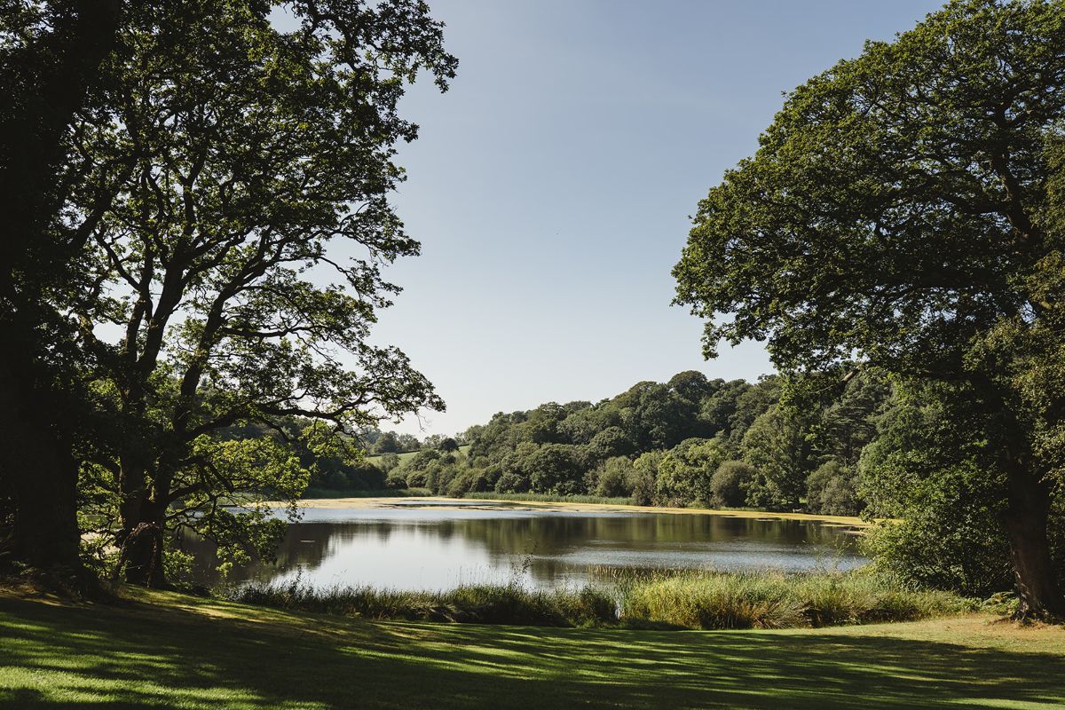 Gallery Item 7 for Finnebrogue Woods