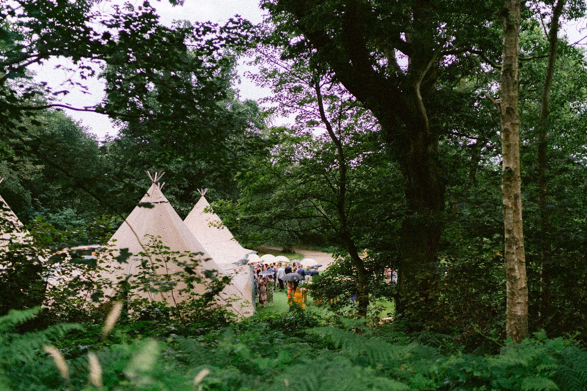 Gallery Item 76 for Finnebrogue Woods