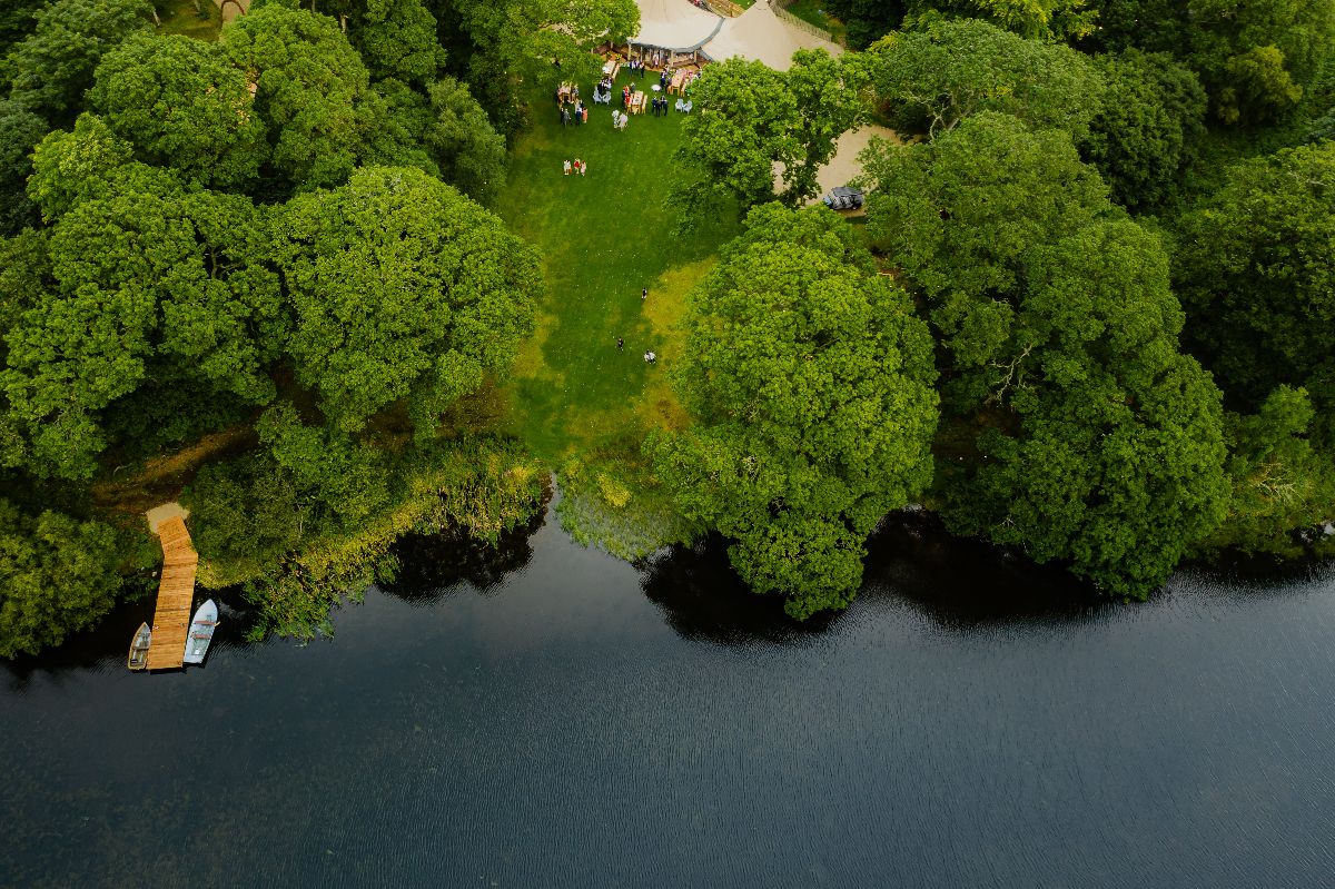 Gallery Item 50 for Finnebrogue Woods