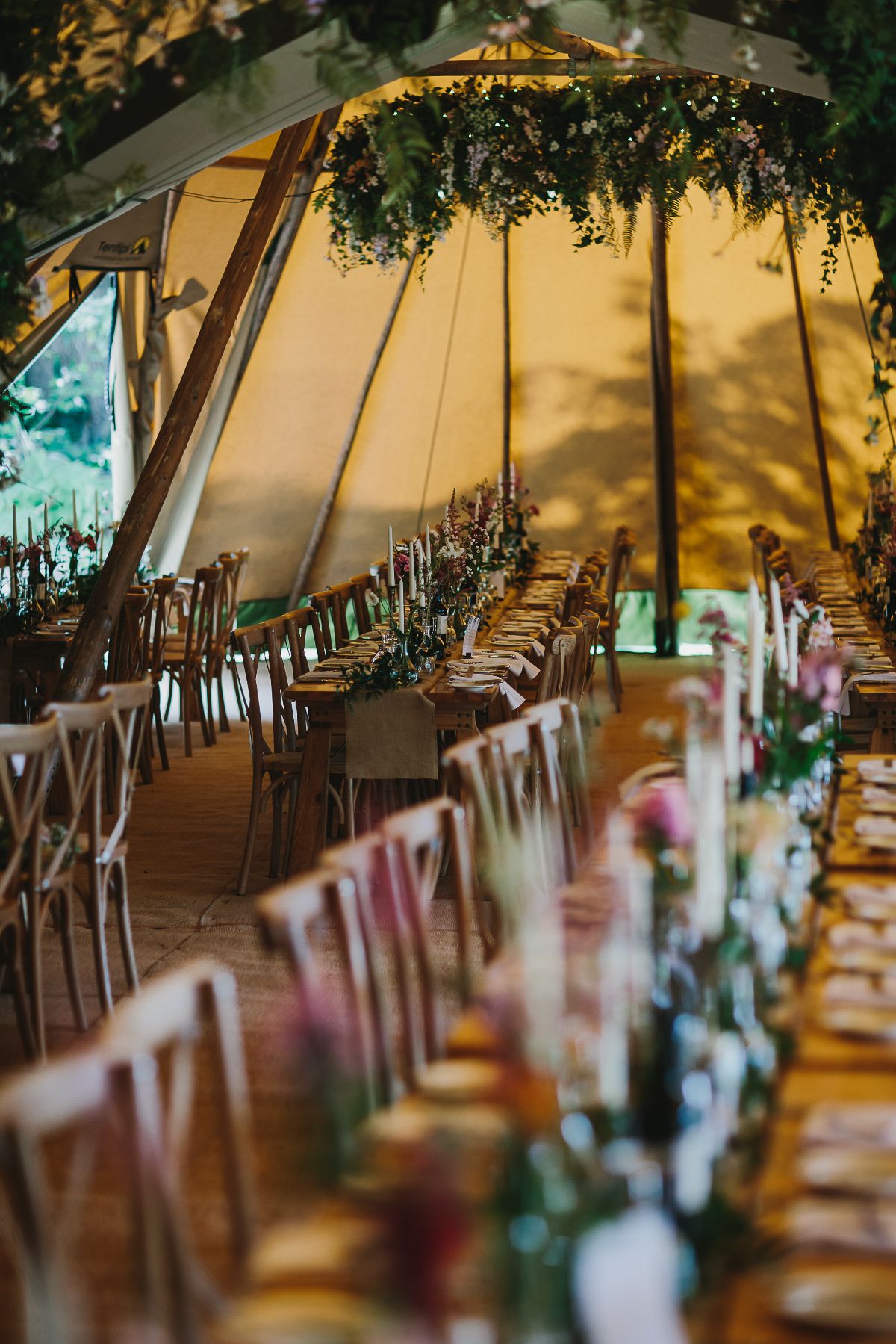 Gallery Item 33 for Finnebrogue Woods