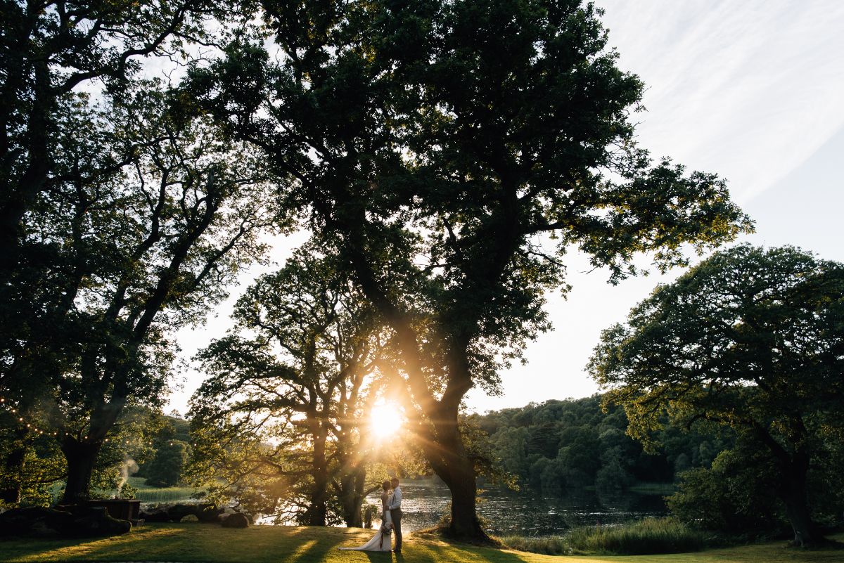 Gallery Item 53 for Finnebrogue Woods