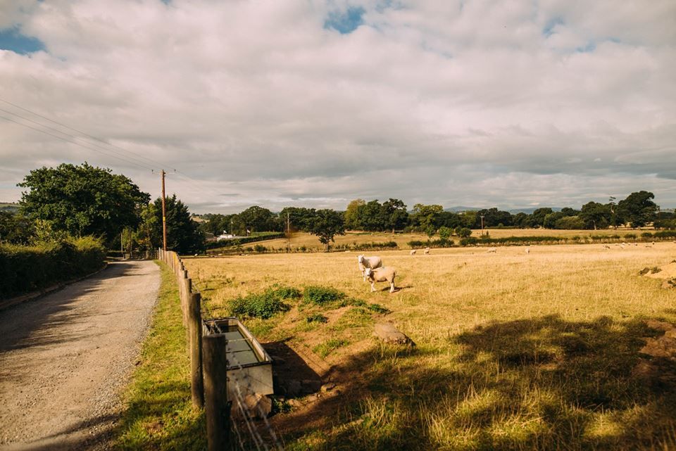 Gallery Item 57 for Clawdd Offa Farm