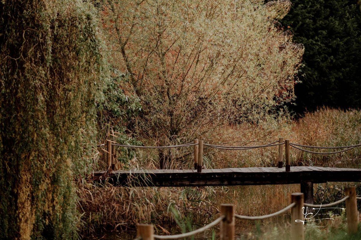 Gallery Item 52 for Crown Hall Farm