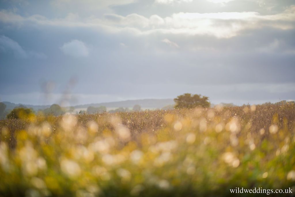 Gallery Item 8 for Bake Barn