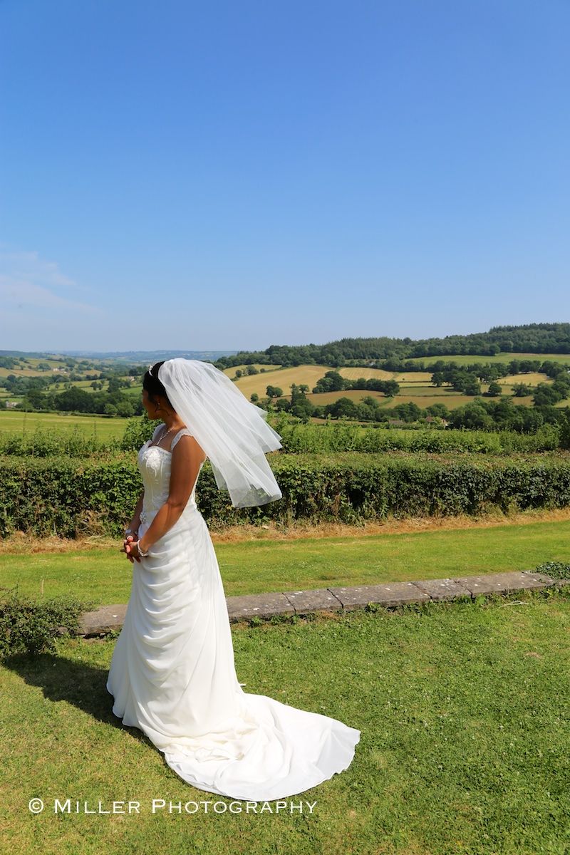 Gallery Item 7 for Burrow Farm Gardens Marquee Wedding Receptions 