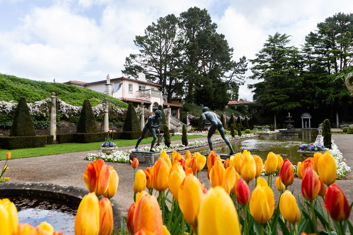 Gallery Item 68 for The Italian Villa