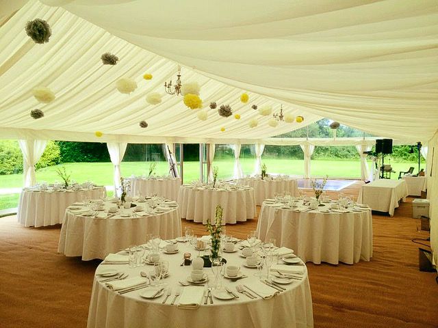 Plas Glansevin-Image-1
