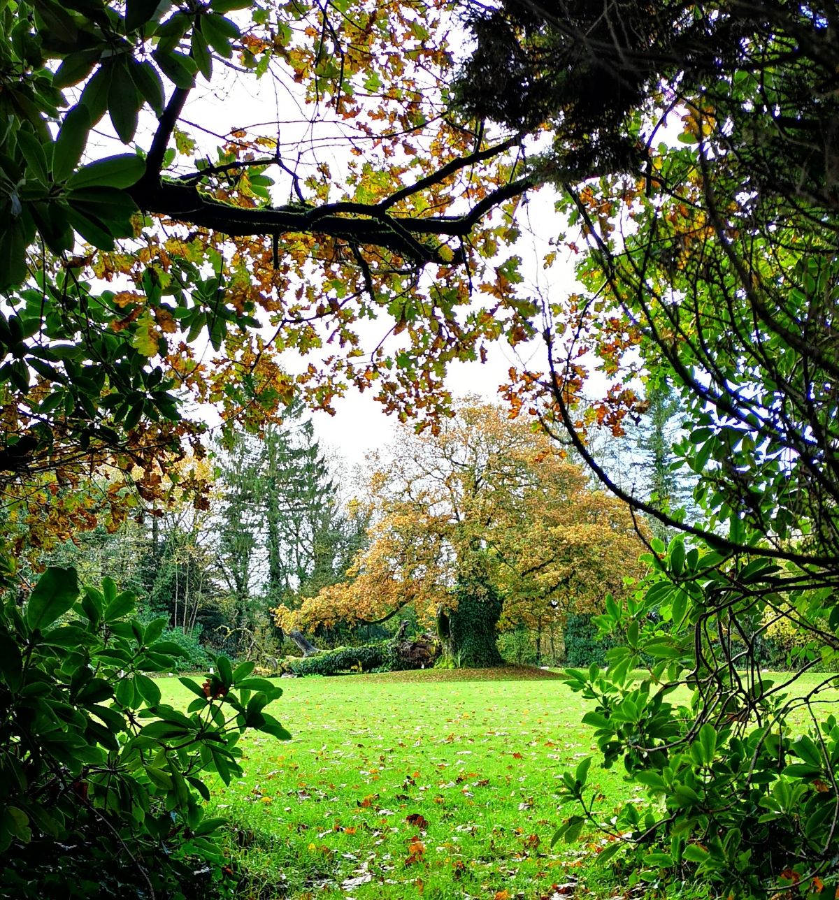 Plas Glansevin-Image-28