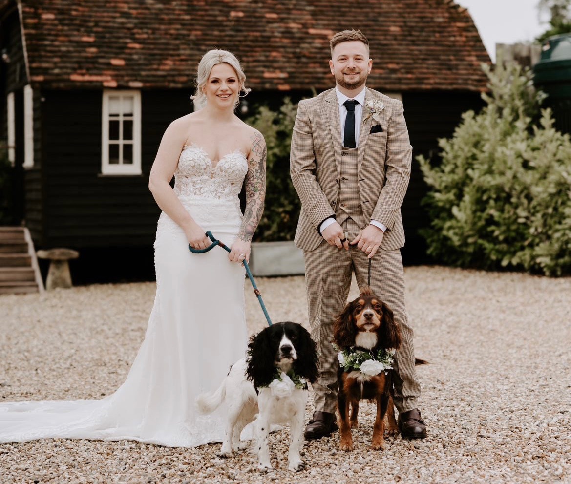 The ‘I Do’ Dog Crew @ All the B’s Pet Services-Image-4